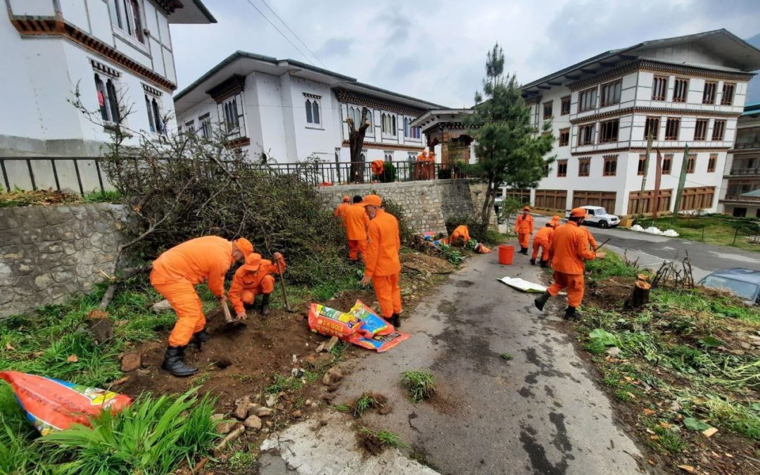 FNPH Campus Plantation Report: